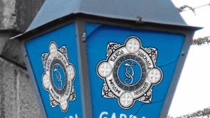 Cash taken from ransacked Nurney house in raid