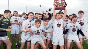 Minor hurlers capture Leinster League after marathon