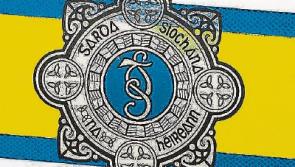 Two men interrupted while stealing tools from Kildare shed