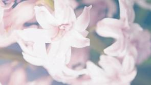 Deaths in Kildare, April 5 2017