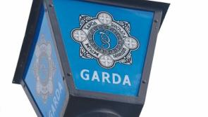 Cars broken into at a Naas sports centre