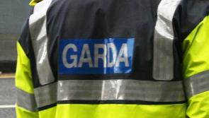 Kildare garda pair feared for their lives in vicious assault by Allenwood man
