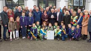 Get involved in the Kildare town Lilly White clean up
