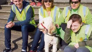 Kildare charity run raises over €10,000 for autism service dogs