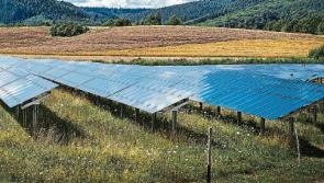 New solar farm plans lodged for outskirts of Kildare town