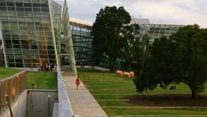 More information sought on plan to build 183 Naas houses