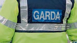 Gardai seek Mazda hatchback in connection with Kildare petrol station abduction