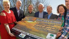 Teach Dara in Kildare town is gearing up for dawn walk