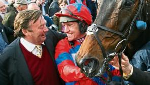 Sprinter Sacre to parade at the Punchestown Festival in Kildare