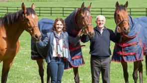 Launch of Kildare town's Thoroughbred Run 2017