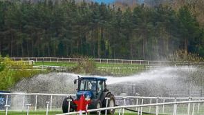 The bluffer's guide to the big Naas event