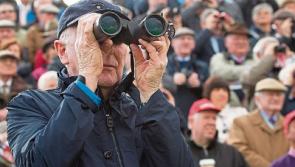 30 quick glimpses of the Punchestown Festival