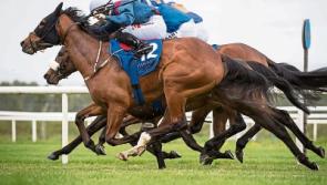 Rates category plea for Kildare's racing industry
