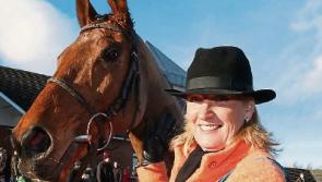 Kildare horse trainer to hand in her licence