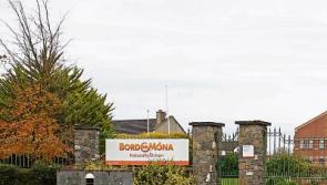 Industrial action suspended at power plant near Kildare border
