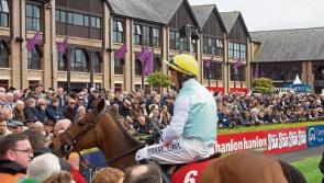 Extra race date for Punchestown 