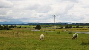 BREAKING: Gorse fire near Curragh Camp