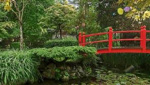 Kildare Failte aims for 500,000 visitors by 2020