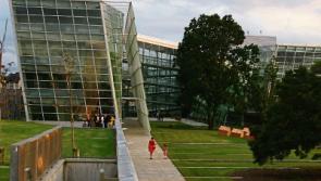 Kildare Short Grass film award winners announced