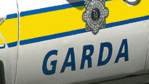 Huge cannabis bust in Kildare - two due in court today
