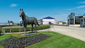 All systems go at Curragh for season opening this weekend