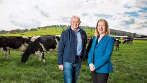 Future of Glanbia to be decided at Punchestown meeting