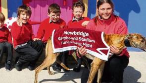 Halverstown National School  fundraiser in Newbridge 