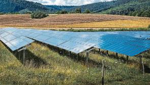 Plans for latest Kildare solar farm lodged 