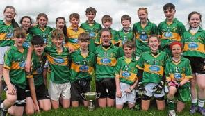 Kildare Gaelscoil scoop Leinster title