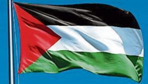 Politician wants to fly Palestinian flag at Kildare County Council offices
