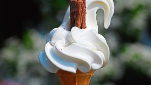 POLL: Vote for where to get the best 99 in Kildare