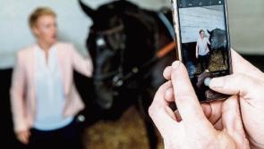Fancy owning a bit of a racehorse? Kildare's Horse Racing Ireland launches 'owner for a day' scheme