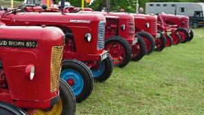 LEGO expo and Peppa Pig at Kildare County Show