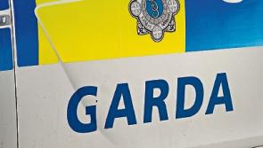 Kildare man jailed for three months for pushing garda