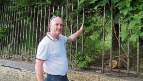 Council to investigate safety at Magee Baracks site in Kildare town