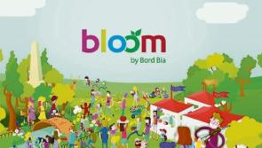 Maynooth nursing home sponsors special Bloom dementia garden