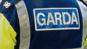 Three men seen fleeing Kildare house in black BMW 