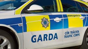 Jewellery and bracelets taken from Kildare home 