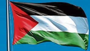 Kildare County Council vote against motion to fly Palestinian flag