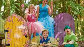 Fairy and elves day for Kildare town's Sensational kids