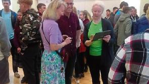 US visitors arrive in Rathangan for international project  