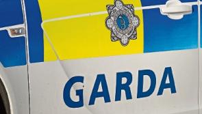 Make sure your cars are locked tonight, warn gardai, after spate of vehicle break-ins