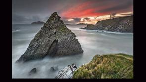 Photo exhibition opens at Kildare's Castletown House