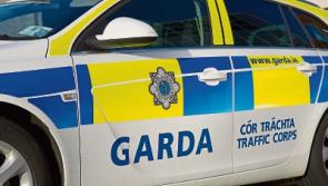 Yellow van sought in connection with Naas break-in