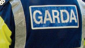 Rocks thrown through plant nursery window outside Kildare town