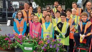 Naas Tidy Towns needs volunteers