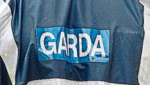 Trailer stolen from Newbridge College
