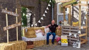 Over 1,000 registered for Thoroughbred Run in Kildare town