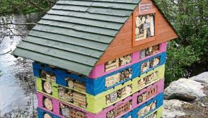 Ballymore Eustace gets its first Bug Hotel