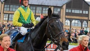 Phase two of new Punchestown grandstand underway